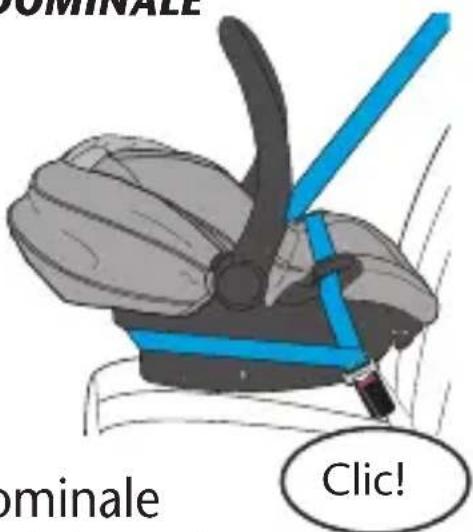 Evenflo LiteMax Sport - NE PAS - 2