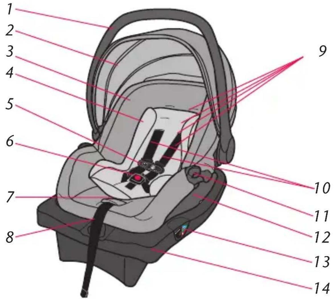 Evenflo LiteMax Sport - Avant - 1