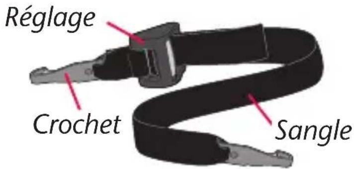Evenflo LiteMax Sport - 3 - 1