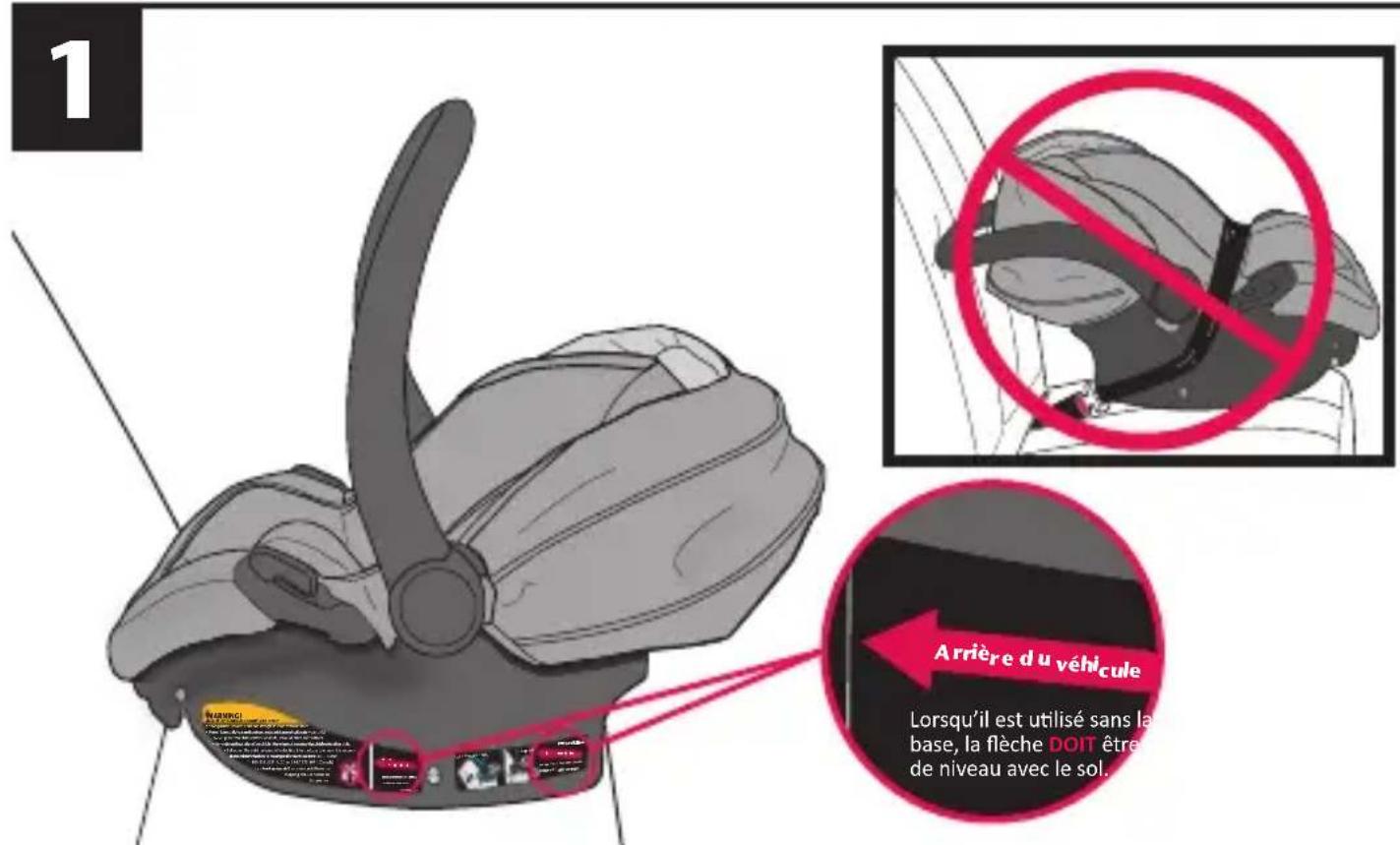 Evenflo LiteMax Sport - Vérifier l'installation. - 1