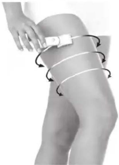 LANAFORM Beauty Aspect - 2) CIRCULACION SANGUINEA - 2
