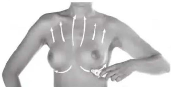 LANAFORM Beauty Aspect - Torax - 1