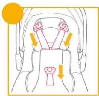 Joie Sprint - sprint enhanced child restraint - 25