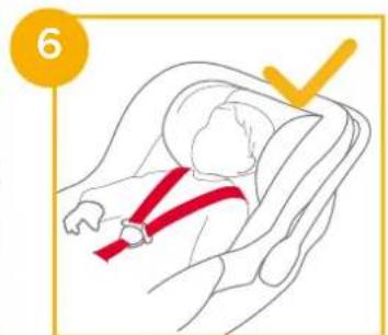 Joie Sprint - sprint enhanced child restraint - 11