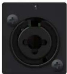PRESONUS Quantum HD 8 - Connecteur DB-9 : - 3