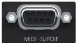 PRESONUS Quantum HD 8 - Face arrière - 4