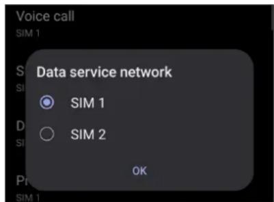 ASUS Zenfone 11 Ultra - Affecter une carte SIM aux services de données - 1