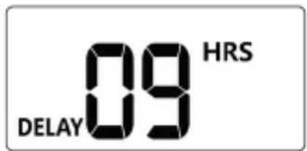 Brandson 306810 - DELAY (Retraso) - 1