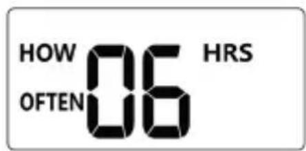 Brandson 306810 - HOW OFTEN - 1