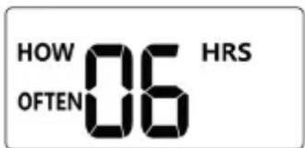 Brandson 306810 - HOW OFTEN (Con qué Frequencia) - 1