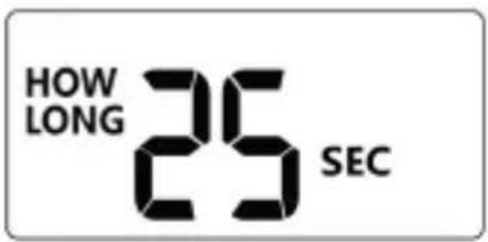 Brandson 306810 - HOW LONG (Wie lange) - 1