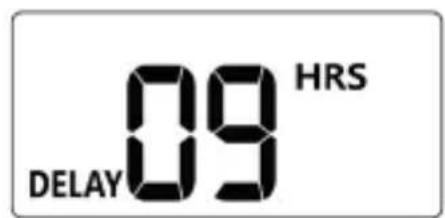 Brandson 306810 - DELAY - 1