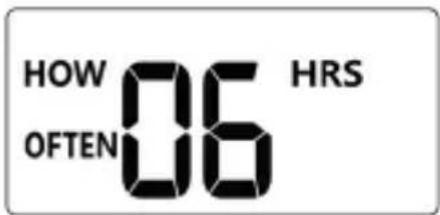 Brandson 306810 - HOW OFTEN (Quanto spesso) - 1