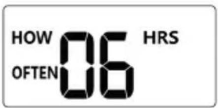 Brandson 306810 - HOW OFTEN (Wie oft) - 1