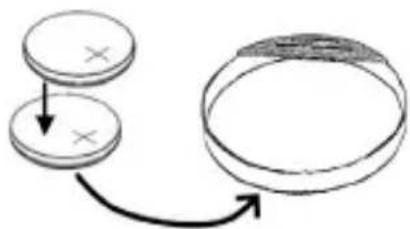 Brandson 304520 - Product details - 4