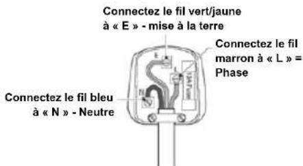 HISENSE FT125D4AWF - Remplacement de la prise (RU et irlande seulement) - 1