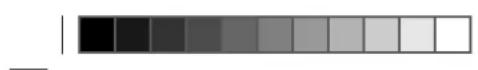 EINHELL RGCG 7 21 Li - Standard references: EN 60335-1; IEC 60335-2-94; EN 60745-1; EN 60745-2-15; EN 62233; EN 55014-1; EN 55014-2; EN 61000-3-2; EN 61000-3-3; EN 60335-2-29 - 2