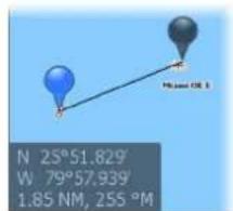 SIMRAD IDS - Goto Curseur - 3