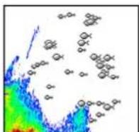SIMRAD IDS - Fish ID - 2