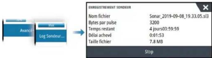 SIMRAD IDS - Arrêt de l'enregistrement des données du log - 1