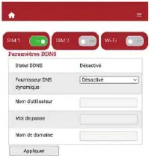 PIONEER DCTWR204 - DNS dynamique (DDNS) - 1