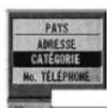 ALPINE NVDV001 - Recherche d'une destination selon la catégorie (mode élémentaire) - 3