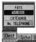 ALPINE NVDV001 - Recherche d'une destination selon l'adresse (nom de ville/rue) (mode élémentaire) - 3