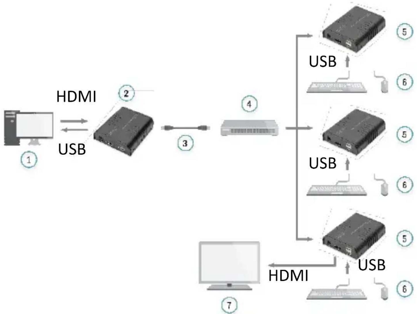 Digitus DS55529 - Liaison plusieurs à plusieurs - 1