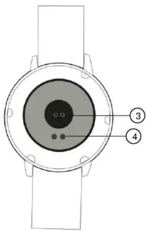Newgen Medicals SW310.hr - Produktdetails - 2