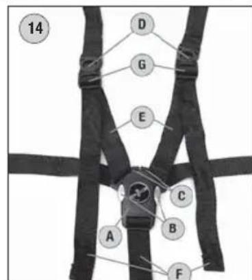 HARTAN Topline 2.0 GTS - Cinturón de sécurité jADVERTENCIA! - 6