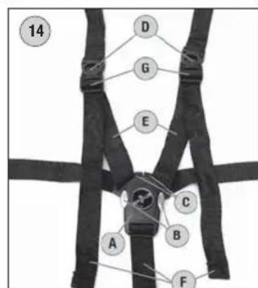 HARTAN Topline 2.0 GTS - Pas bezpieczeinsteinwa OSTRZEZENIE! - 6