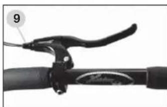 HARTAN Topline 2.0 GTS - Hood and safety bar - 3