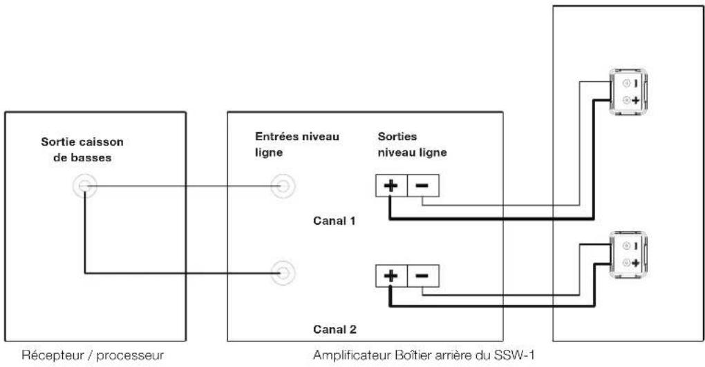 JBL SSW1 - Branchements - 2