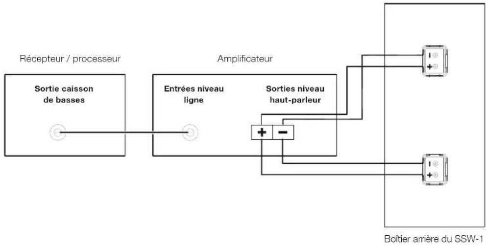 JBL SSW1 - Branchements - 1