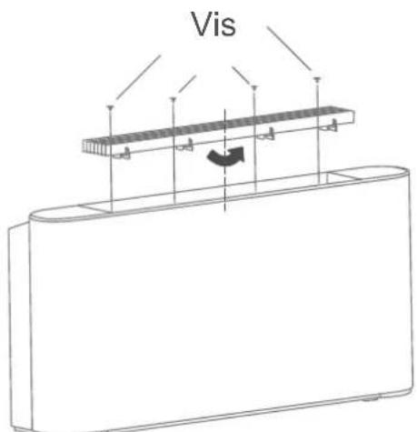 Vis