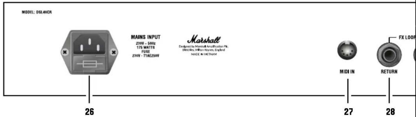 MARSHALL DSL100HR - USCITE DIFFUSORE - 3