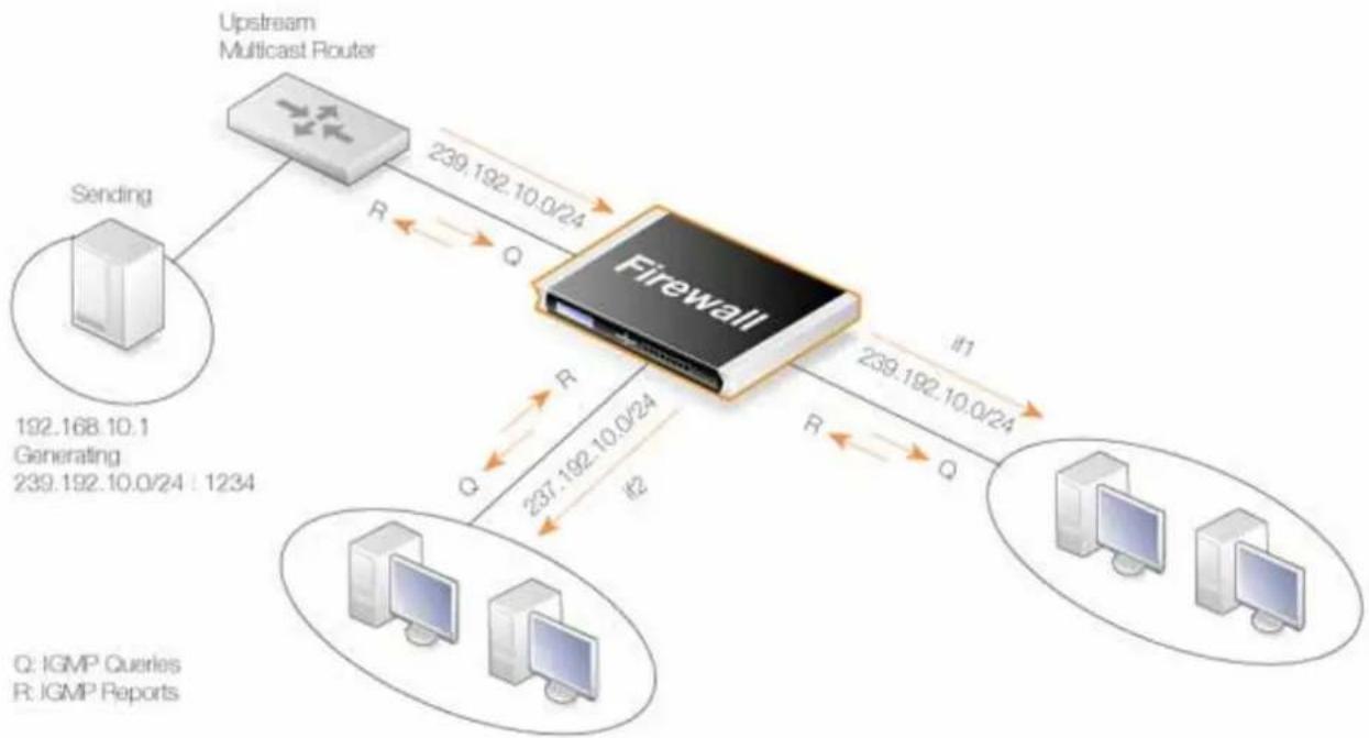D-LINK DFL860 - Figure 4.5. Transfert multidiffusion avec traduction d'adresses - 1