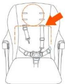 Baby Trend EZ Ride PLUS - SAFETY SEGURIDAD SECURITE SAFETY SEGURIDAD SECURITE - 2