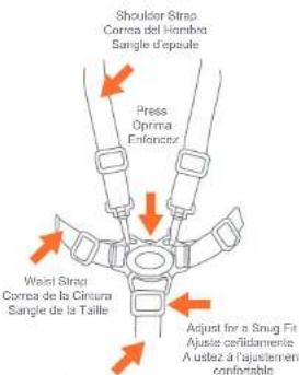 Baby Trend Sit N' Stand Double - TANDEM STROLLER - 5-POINT HARNESS CARRITO EN TÁNDEM - ARNÉS DE 5 PUNTAS POUSSETTE DOUBLE - HARNAIS À 5 POINTS - 1