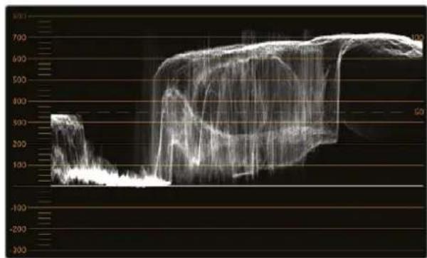 Blackmagic Design SmartView 4K G3 - Waveform(波形)表示 - 1