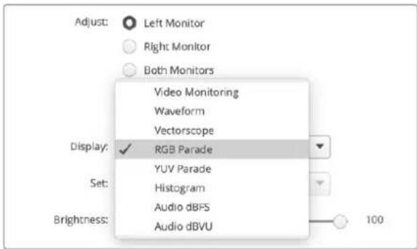 Blackmagic Design SmartView 4K G3 - Terminología - 3