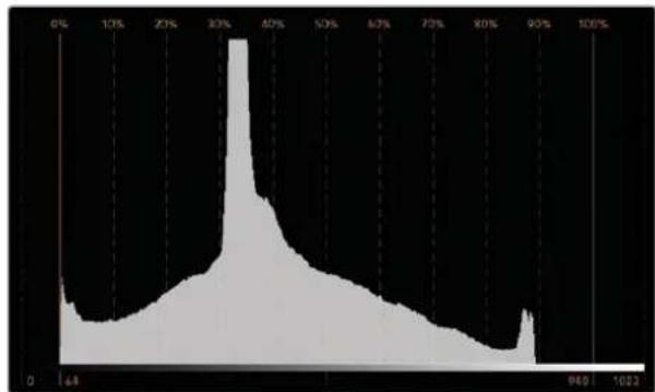 Blackmagic Design SmartView 4K G3 - Affichage Histogram - 1