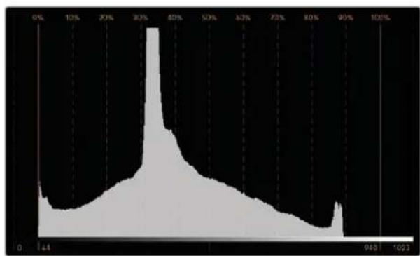 Blackmagic Design SmartView 4K G3 - Histogram(七)表示 - 1