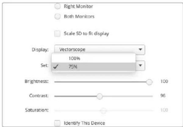 Blackmagic Design SmartView 4K G3 - Affichage Vectorscope - 2