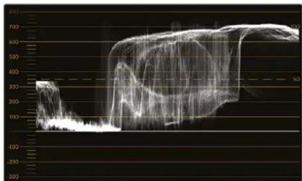 Blackmagic Design SmartView 4K G3 - Waveform Display - 1