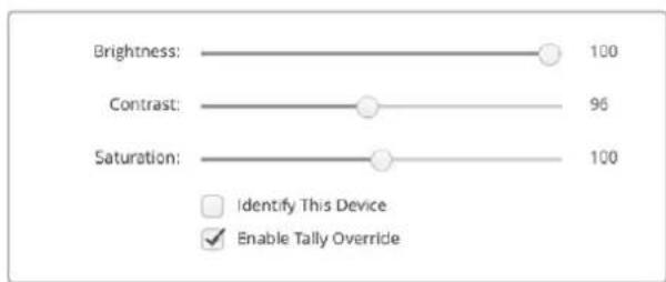 Blackmagic Design SmartView 4K G3 - Identify - 1