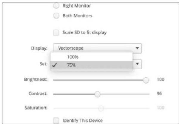 Blackmagic Design SmartView 4K G3 - Vettorscopio - 2