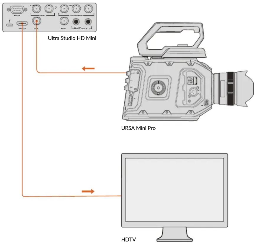 Blackmagic Design DeckLink Quad HDMI 4K - Einrichtung - 1
