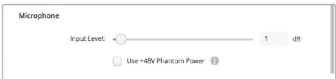 Blackmagic Design DeckLink Quad HDMI 4K - 麦克风 - 2