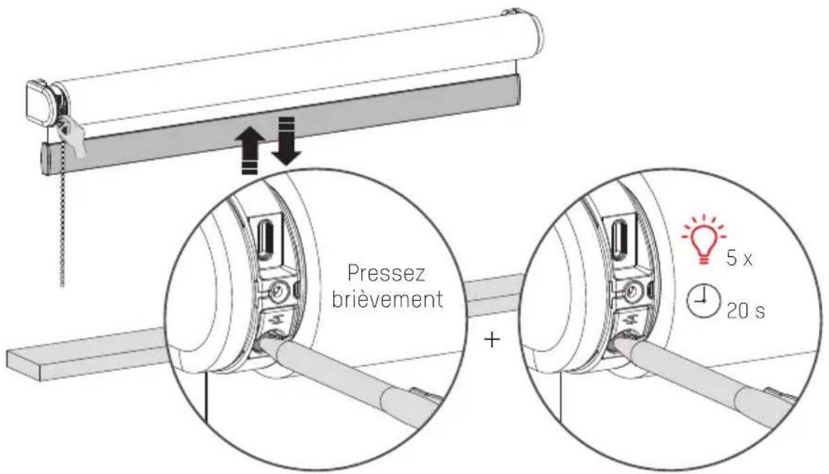 MOTION CMD02P - Réinitialiser le store - 1